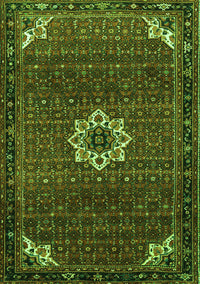 Medallion Green Traditional Rug, tr1650grn