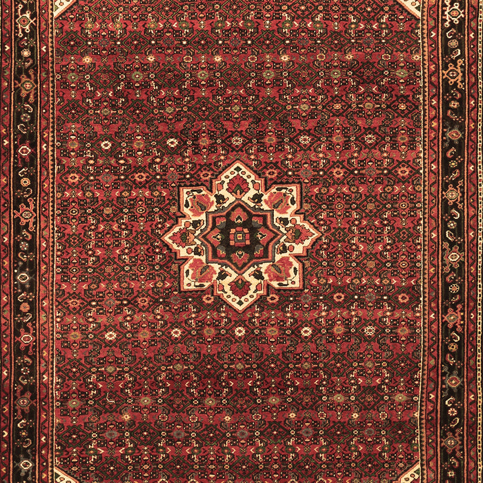 Medallion Brown Traditional Rug, tr1650brn
