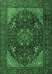 Medallion Emerald Green Traditional Rug, tr1651emgrn