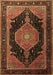 Medallion Brown Traditional Rug, tr1652brn