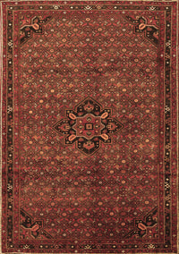 Persian Brown Traditional Rug, tr1653brn