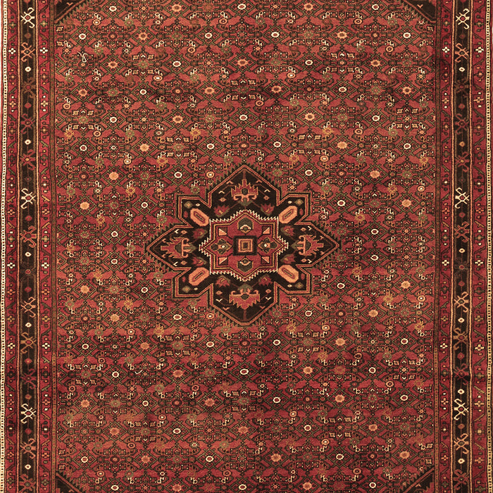 Persian Brown Traditional Rug, tr1653brn
