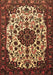 Machine Washable Medallion Brown Traditional Rug, wshtr1656brn