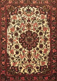 Medallion Brown Traditional Rug, tr1656brn