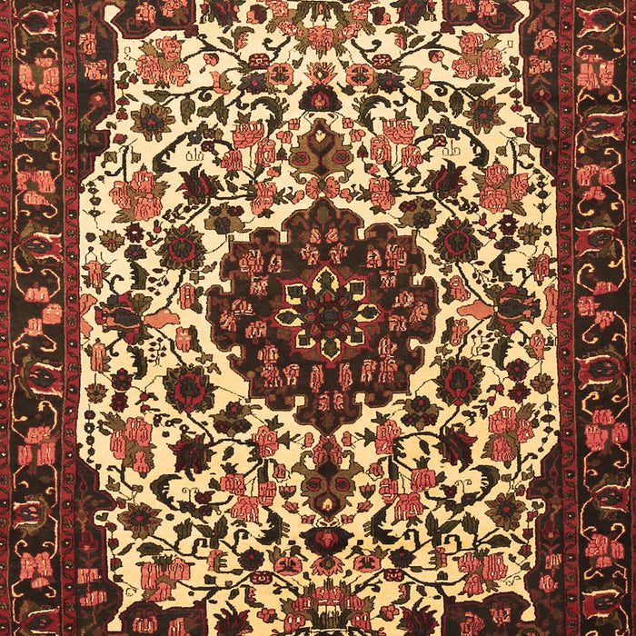 Medallion Brown Traditional Rug, tr1656brn