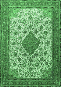 Medallion Emerald Green Traditional Rug, tr1660emgrn