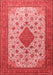 Medallion Red Traditional Area Rugs