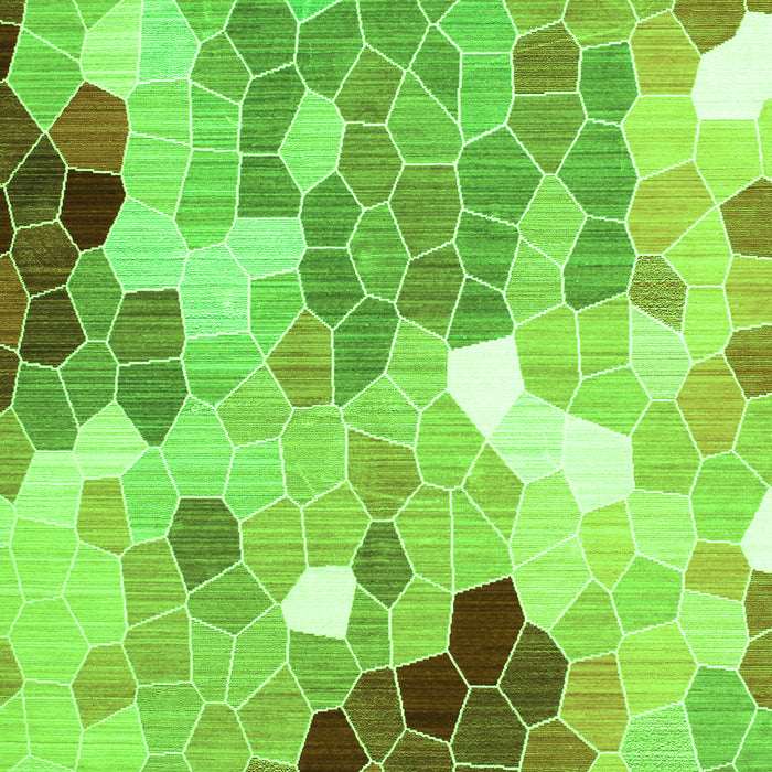 Persian Green Traditional Rug, tr1661grn