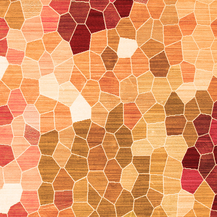 Persian Orange Traditional Rug, tr1661org