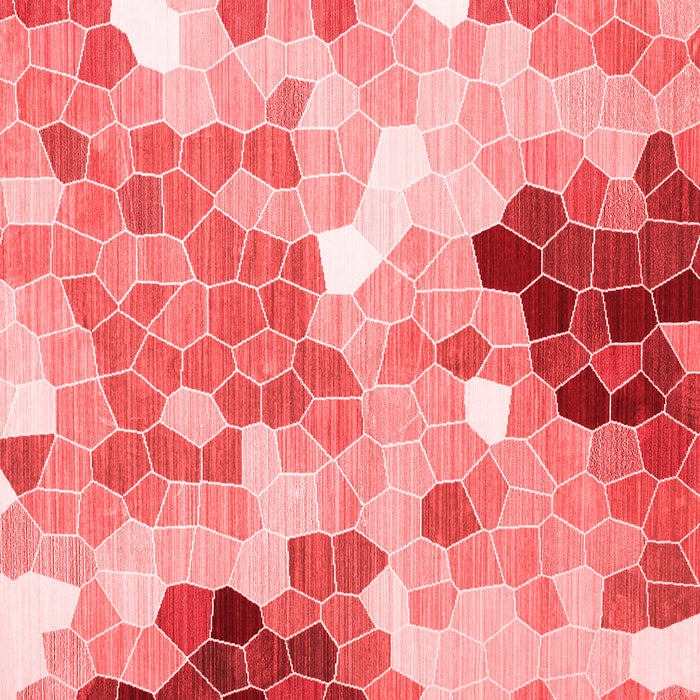 Persian Red Traditional Rug, tr1661red