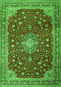 Medallion Green Traditional Rug, tr1663grn