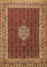 Persian Brown Traditional Rug, tr1665brn