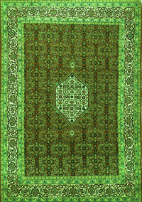 Persian Green Traditional Rug, tr1665grn