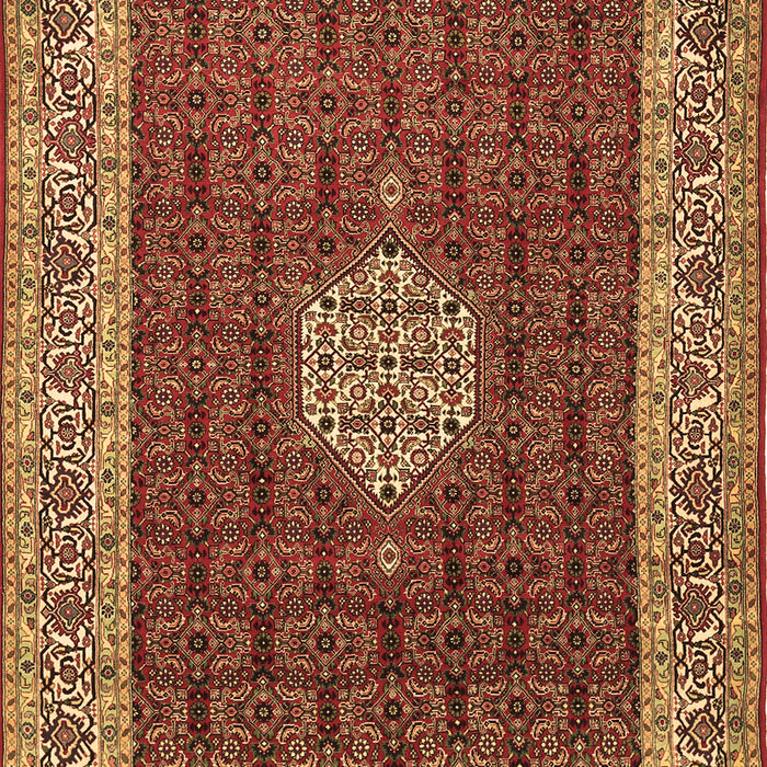 Machine Washable Persian Brown Traditional Rug, wshtr1665brn