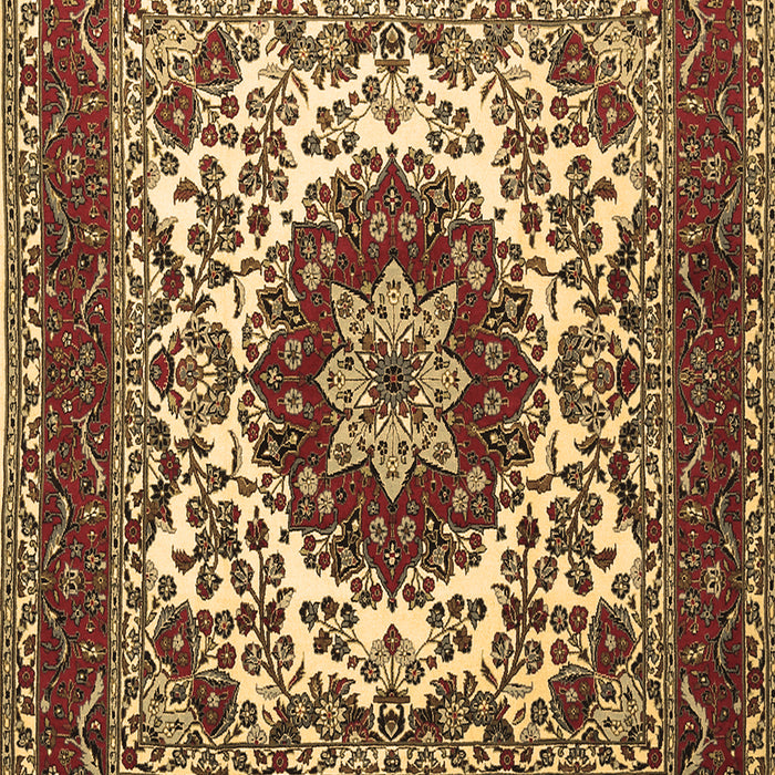 Machine Washable Medallion Brown Traditional Rug, wshtr1666brn