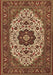 Medallion Brown Traditional Rug, tr1667brn