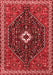 Persian Red Traditional Area Rugs