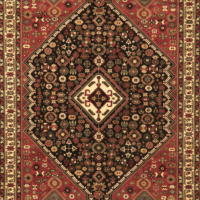 Persian Brown Traditional Rug, tr1670brn
