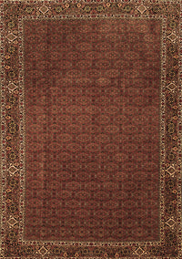 Persian Brown Traditional Rug, tr1671brn