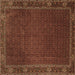 Square Persian Brown Traditional Rug, tr1671brn