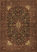 Machine Washable Persian Brown Traditional Rug, wshtr1675brn