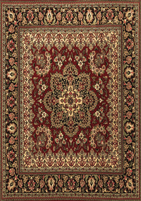 Persian Brown Traditional Rug, tr1677brn