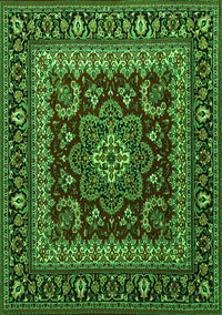 Persian Green Traditional Rug, tr1677grn