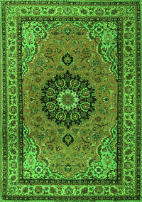 Medallion Green Traditional Rug, tr1678grn