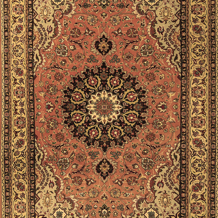 Medallion Brown Traditional Rug, tr1678brn