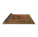 Sideview of Medallion Brown Traditional Rug, tr1678brn