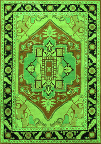 Persian Green Traditional Rug, tr1682grn