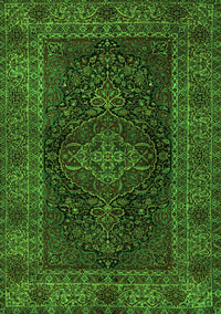 Persian Green Traditional Rug, tr1686grn