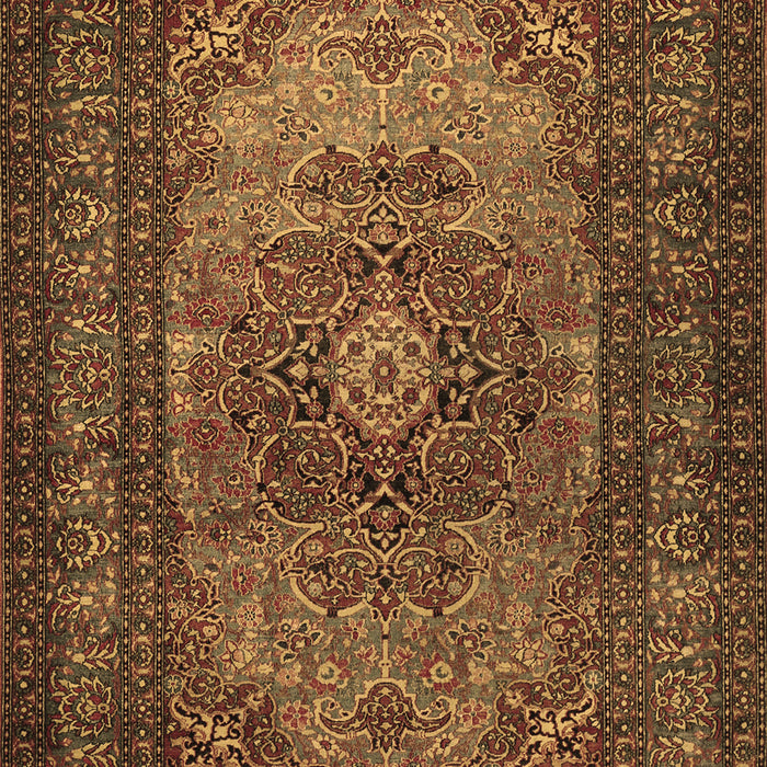 Machine Washable Medallion Brown Traditional Rug, wshtr1687brn