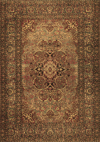 Medallion Brown Traditional Rug, tr1687brn