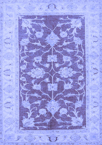 Oriental Blue Traditional Rug, tr1688blu