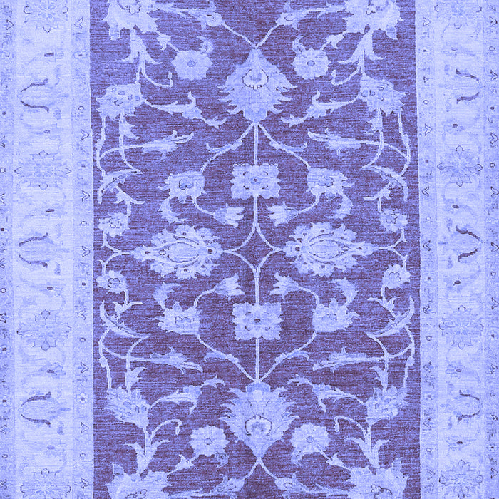 Oriental Blue Traditional Rug, tr1688blu