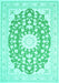 Medallion Turquoise Traditional Rug, tr168turq