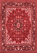 Medallion Red Traditional Area Rugs