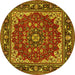 Round Medallion Yellow Traditional Rug, tr1693yw