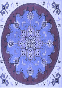 Medallion Blue Traditional Rug, tr1694blu