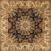 Square Medallion Brown Traditional Rug, tr1695brn