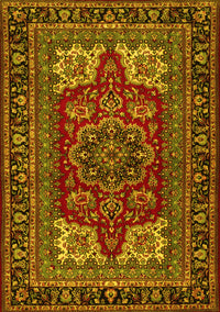 Medallion Yellow Traditional Rug, tr1696yw