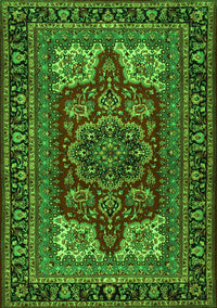 Medallion Green Traditional Rug, tr1696grn