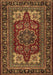 Medallion Brown Traditional Rug, tr1696brn