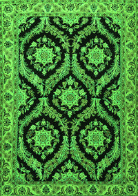 Persian Green Traditional Rug, tr1698grn