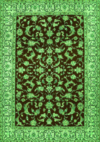 Persian Green Traditional Rug, tr1699grn