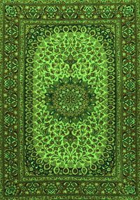 Medallion Green Traditional Rug, tr1707grn