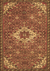 Persian Brown Traditional Rug, tr170brn