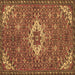 Square Machine Washable Persian Brown Traditional Rug, wshtr170brn