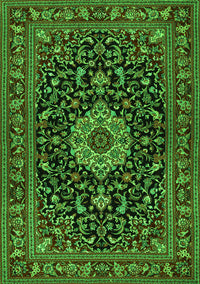 Medallion Green Traditional Rug, tr1717grn